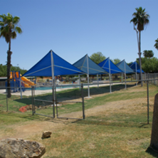 delmar_pool-1.png