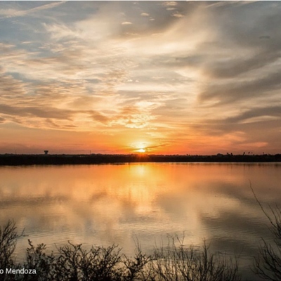 photo_by_francisco_mendoza-1.png